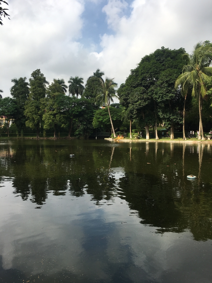 Étang serein entouré d'une végétation luxuriante.