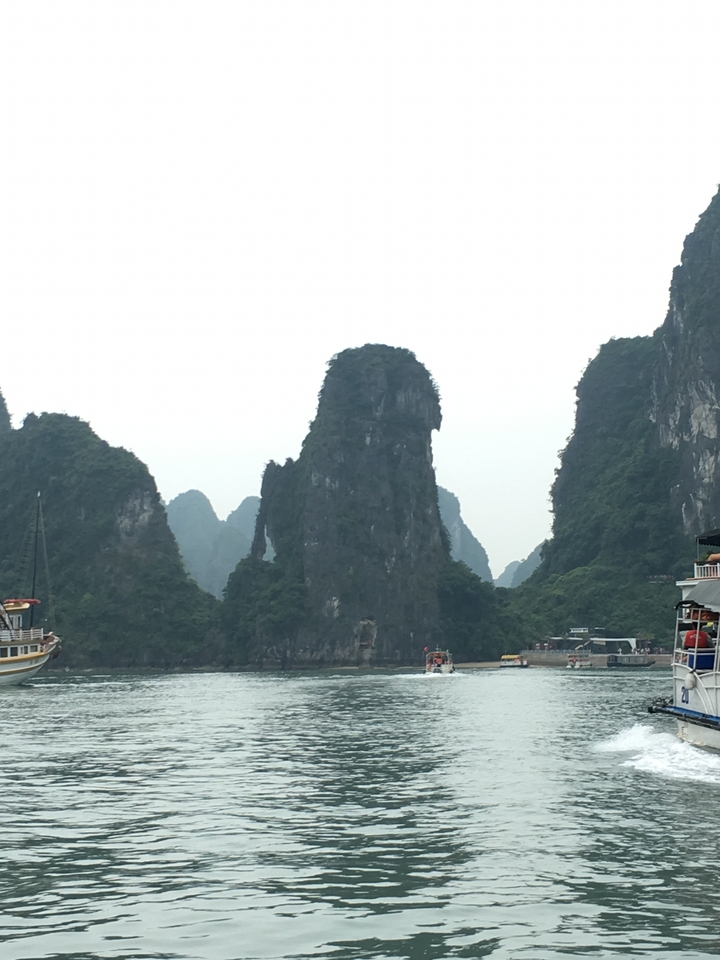 Karsts calcaires émergeant de l'eau.