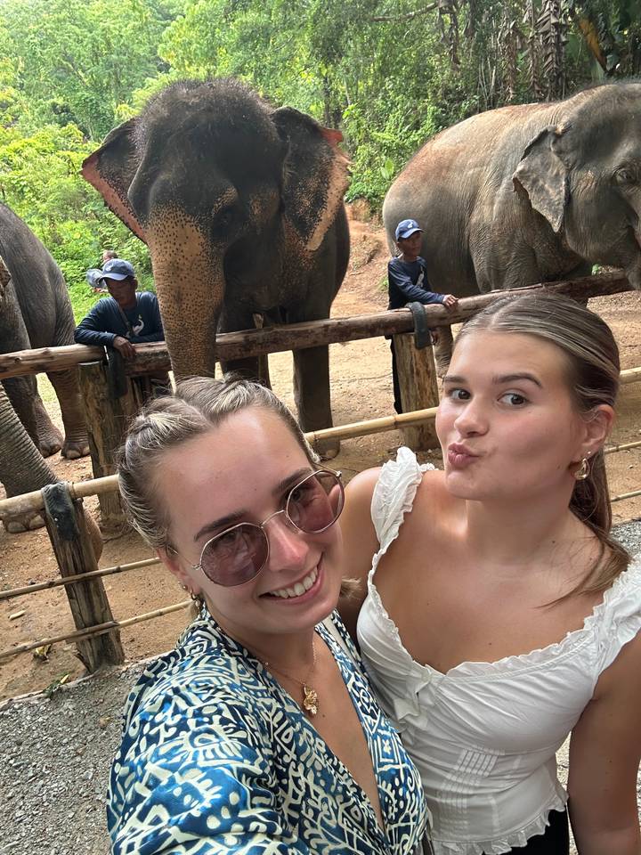 Two people taking a selfie with elephants.