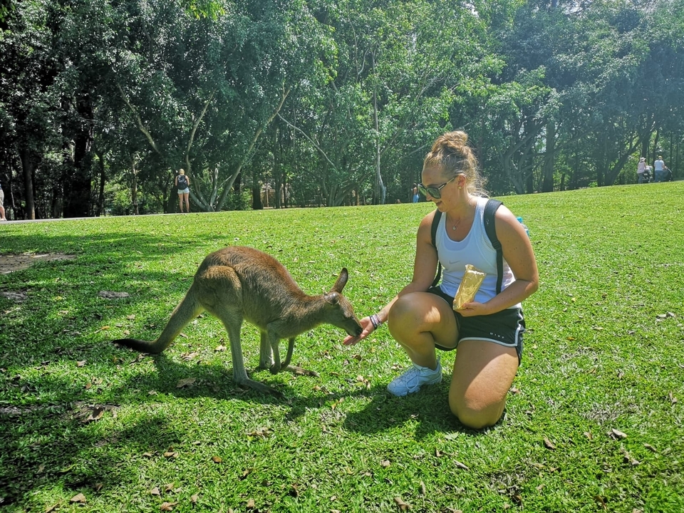 Woman feeding a kangaroo in a park.