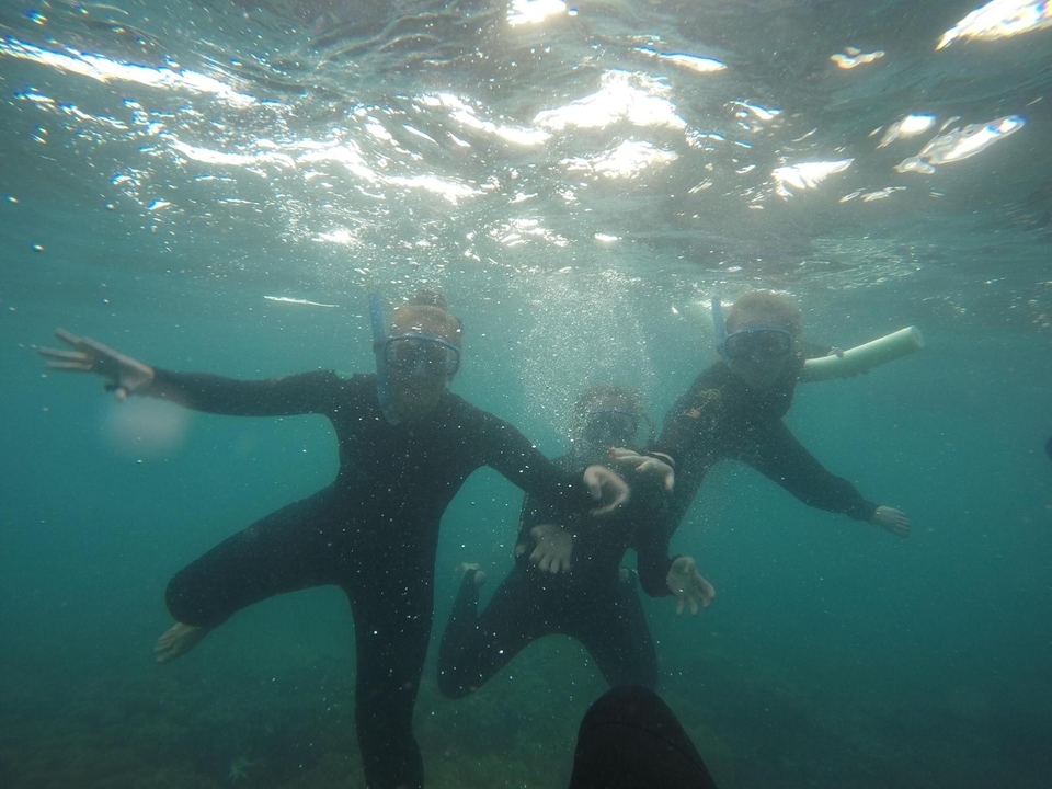 People snorkeling underwater.