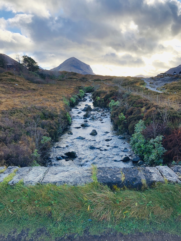 Small stream running through a grassy landscape.