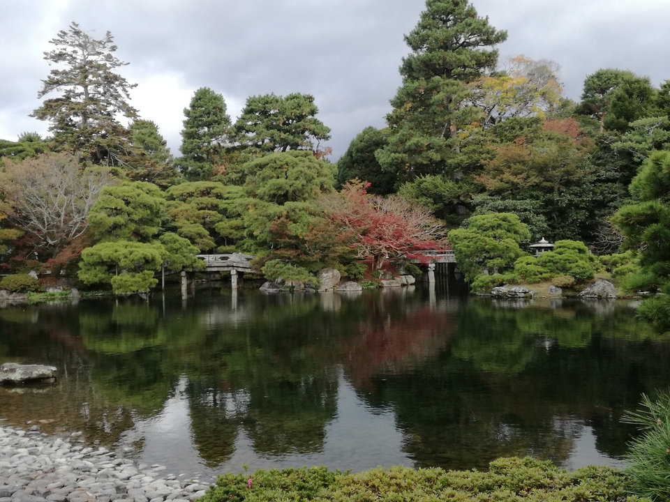 Reflective pond amidst a scenic Japanese garden with trees.