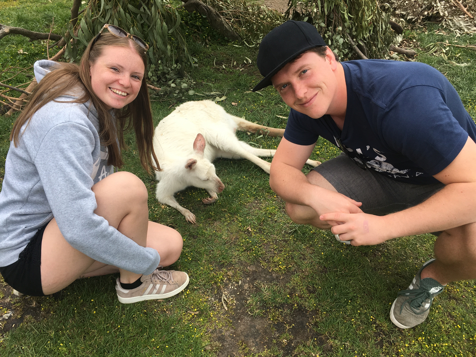 Two people posing with a white kangaroo lying on the grass.