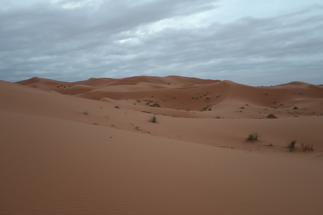 Vast desert landscape with rolling sand dunes.