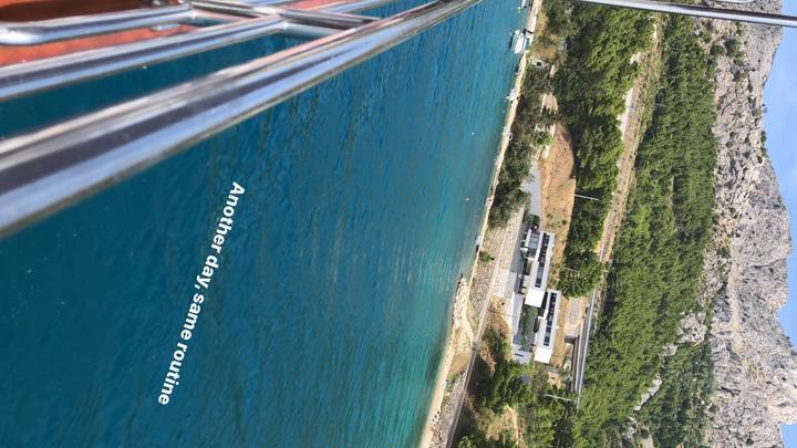 Vue sur le front de mer avec des arbres et une côte rocheuse.