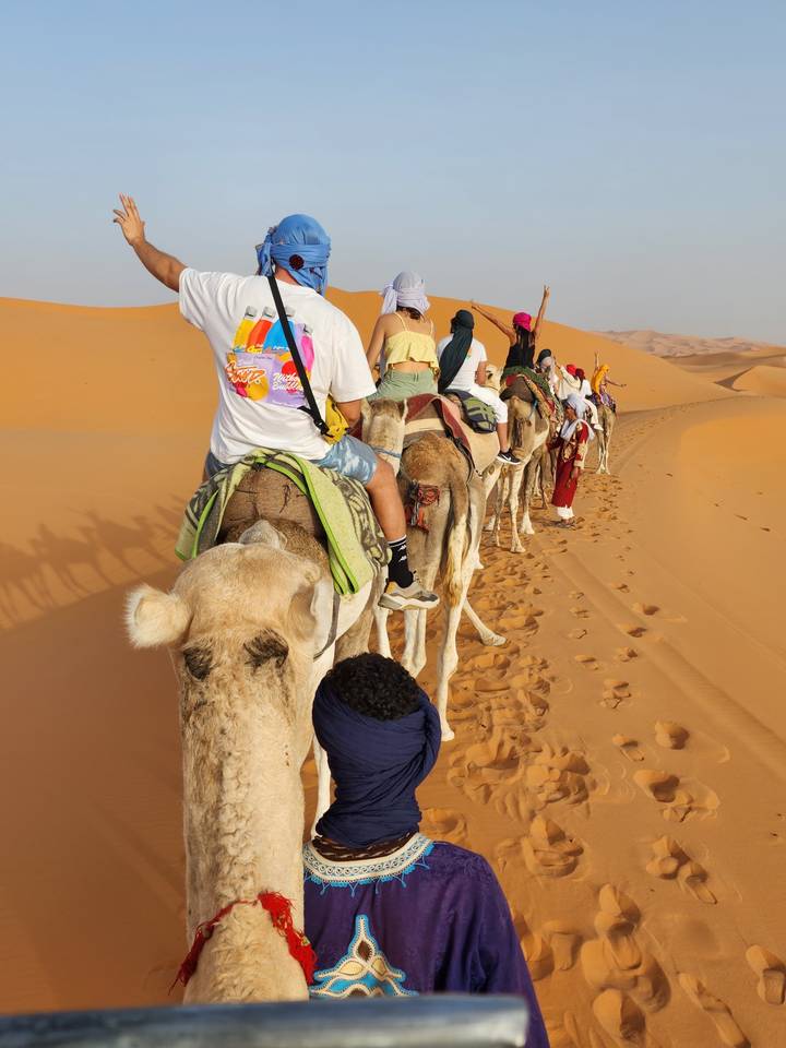 Camel caravan in the desert.