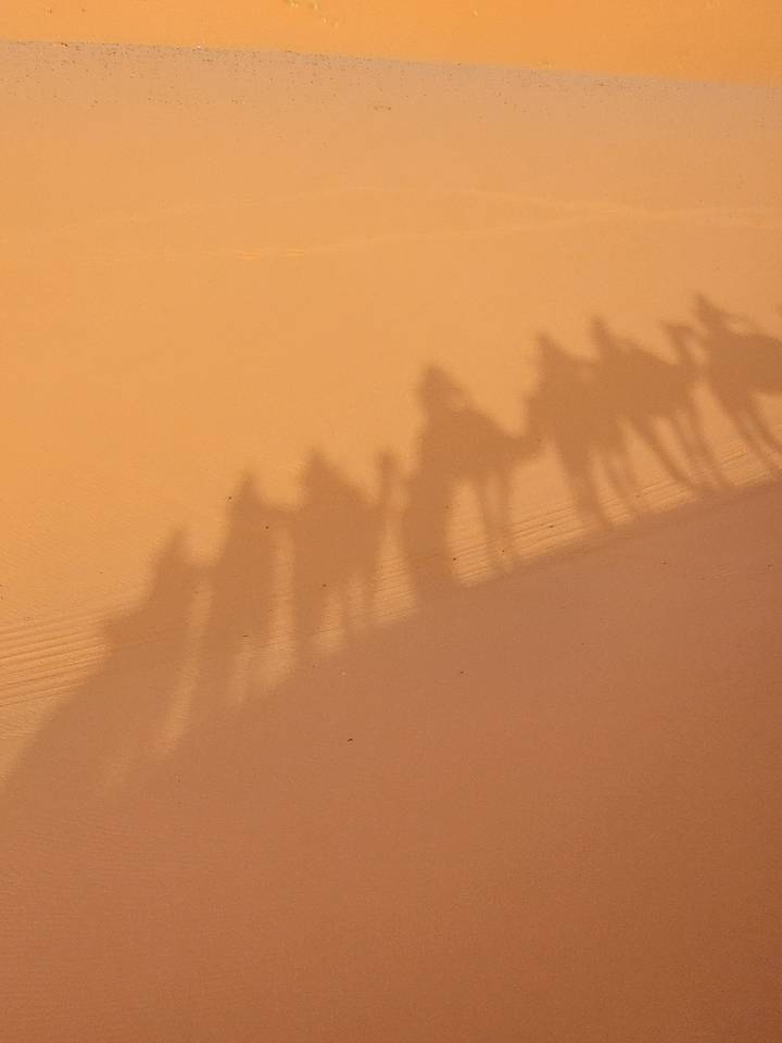 Shadows of people and camels cast on sand.