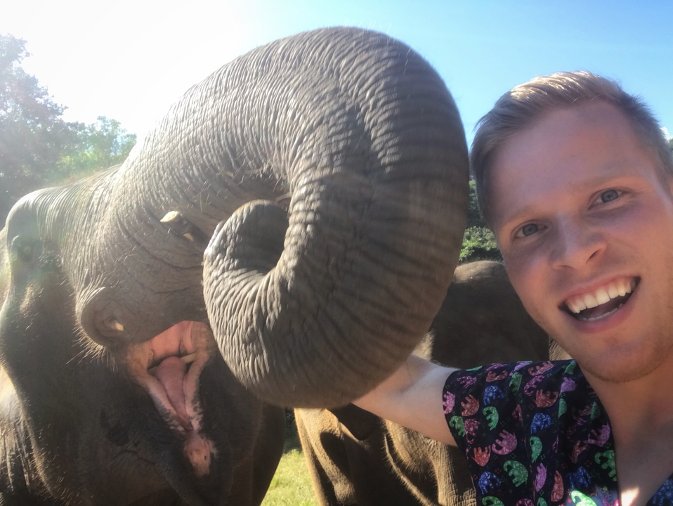 Person with an elephant in an outdoor setting.