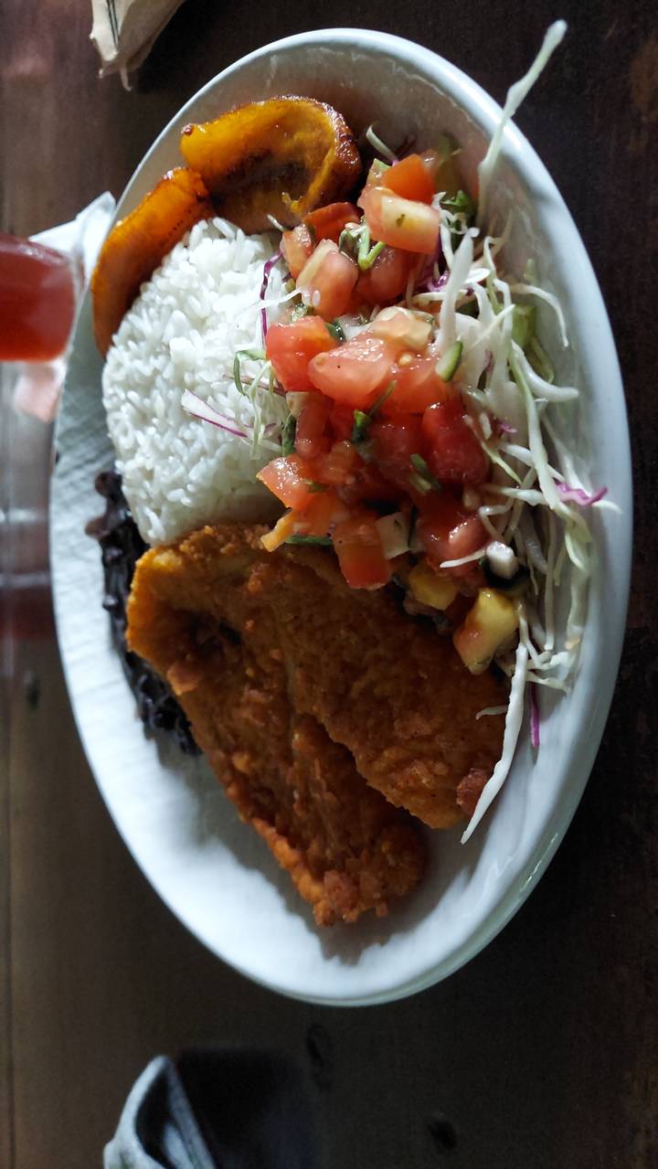 Plate of traditional Costa Rican meal with rice, beans, and plantain.