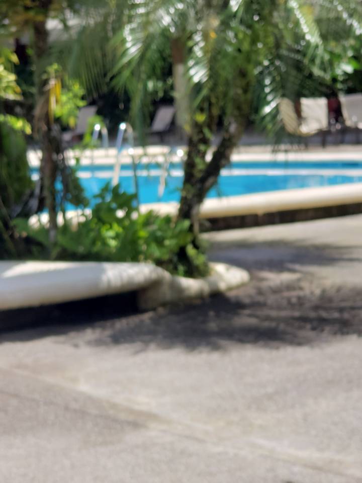 Blurred image of a pool and greenery.