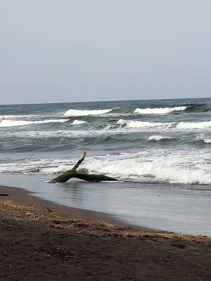 Ocean waves crashing on a sandy beach.