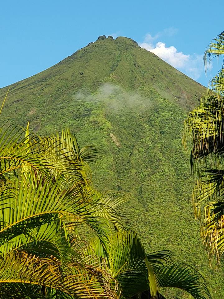 Green mountain landscape with tropical plants in foreground.