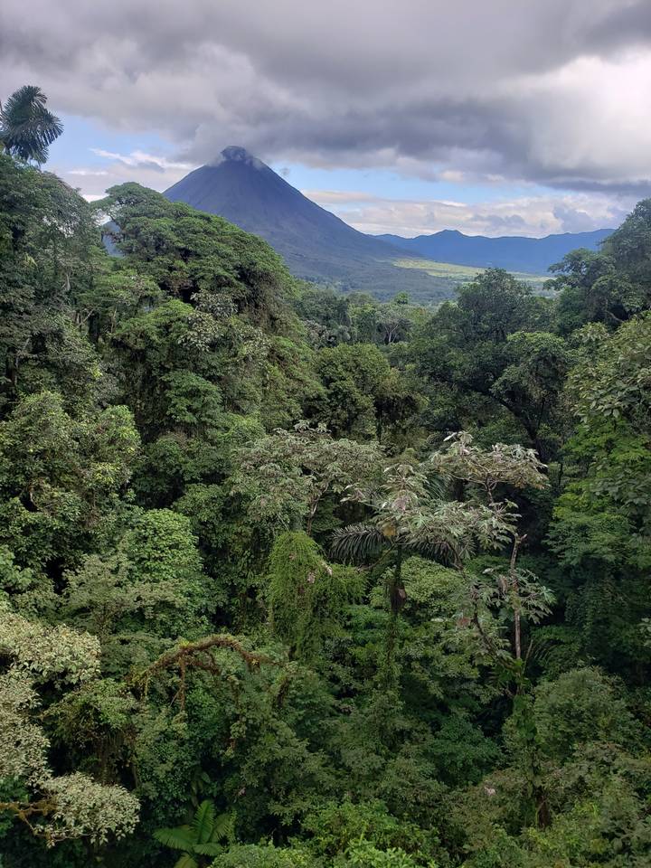Volcanic landscape with lush forest viewed from a height.