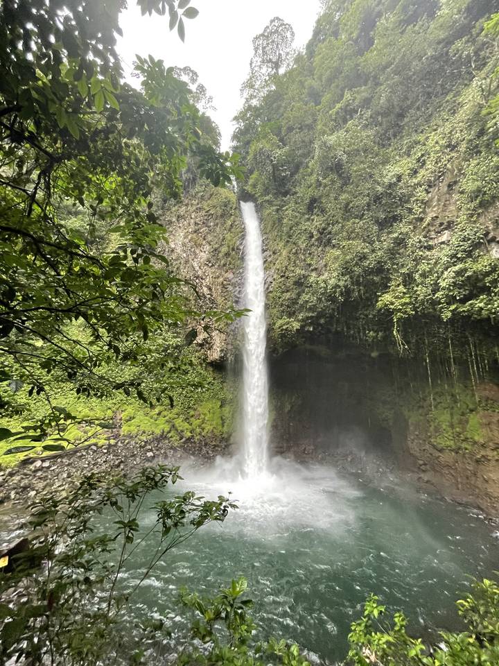 Waterfall cascading down a cliff surrounded by lush vegetation.