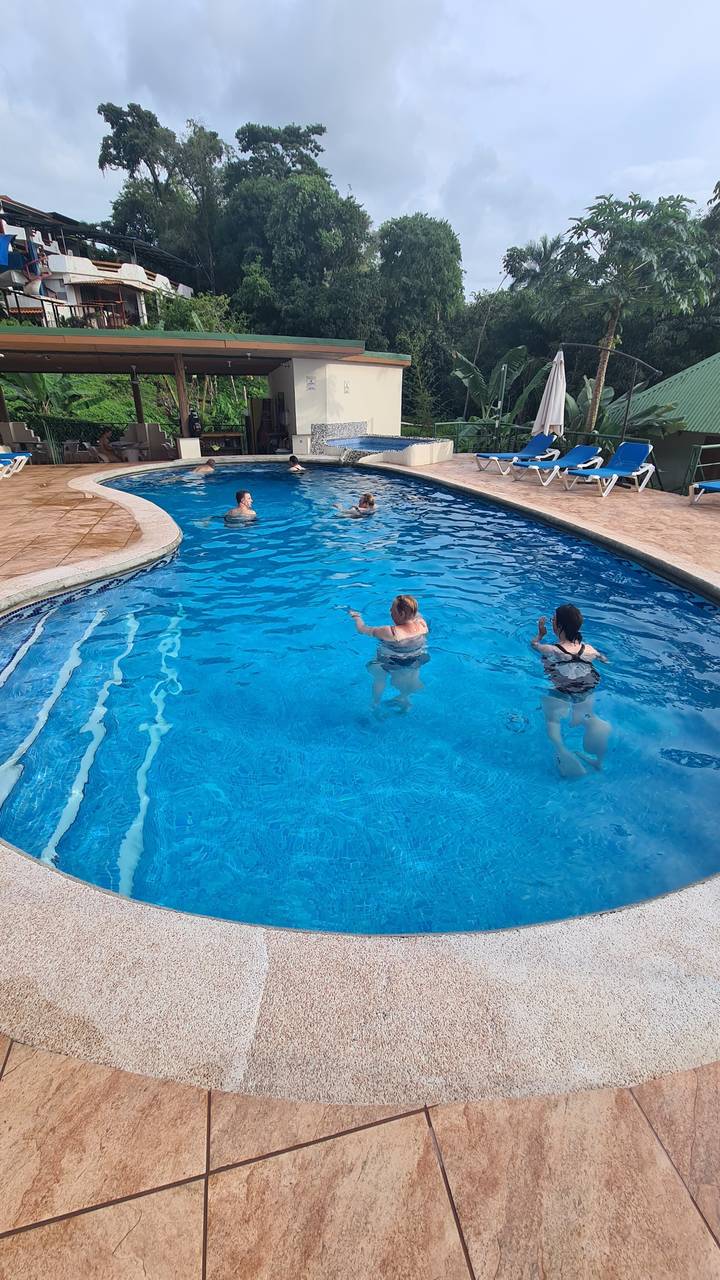 People swimming in a circular pool.