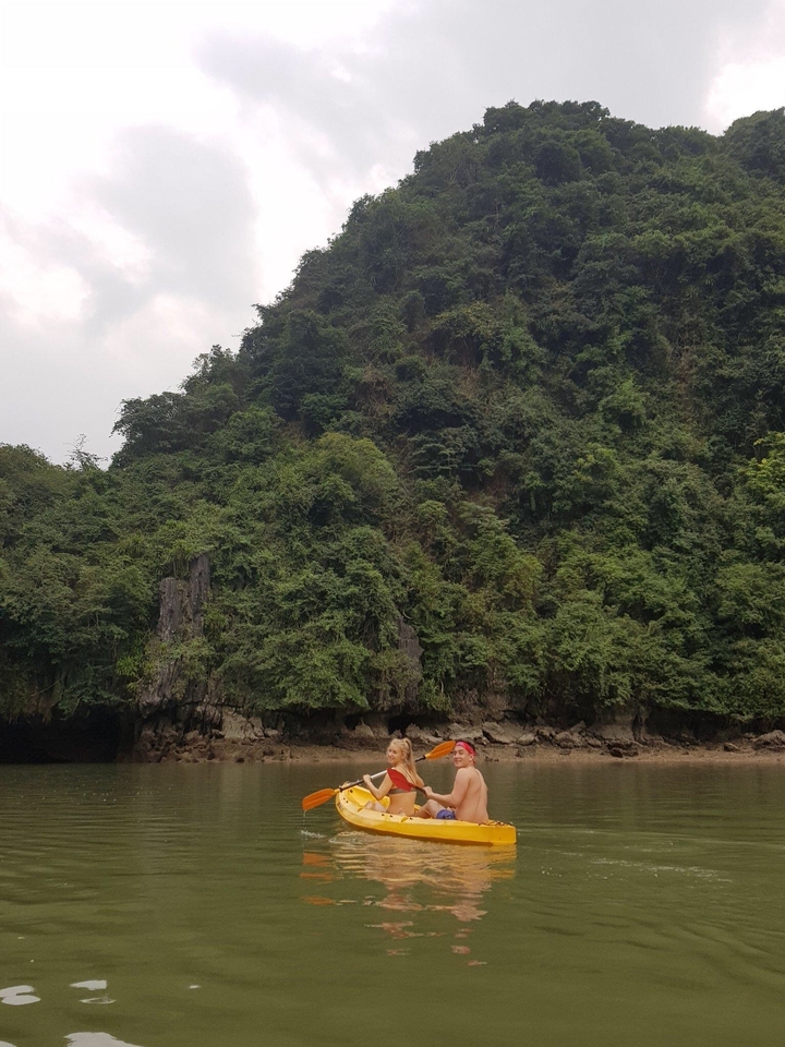 Lush green mountains with dense foliage.