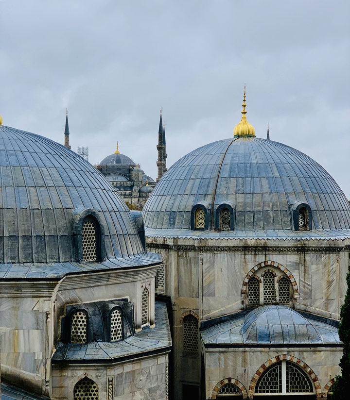 Rooftops of domed structures with skyline.