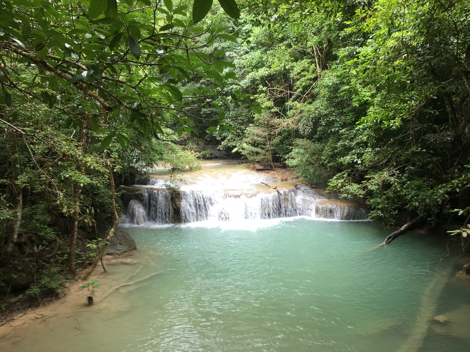 Small waterfall in a lush forest area with turquoise water.