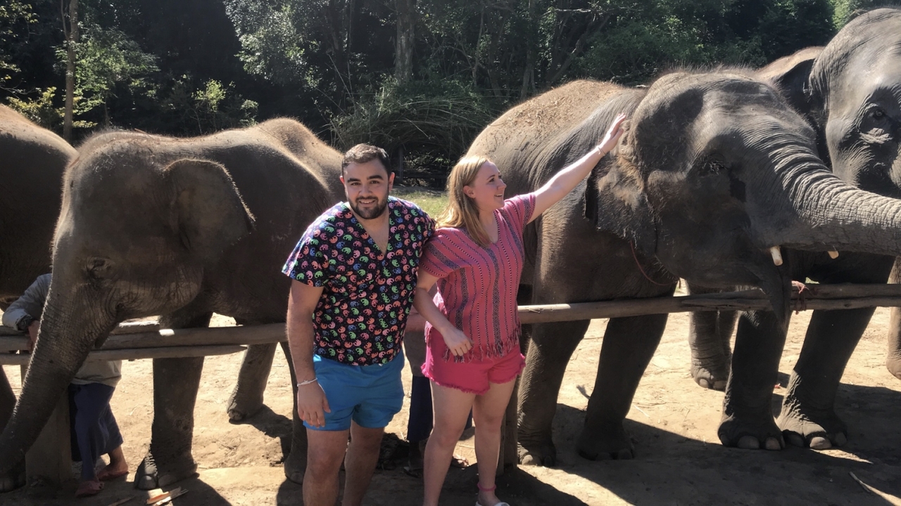 A couple posing with elephants behind a wooden fence.