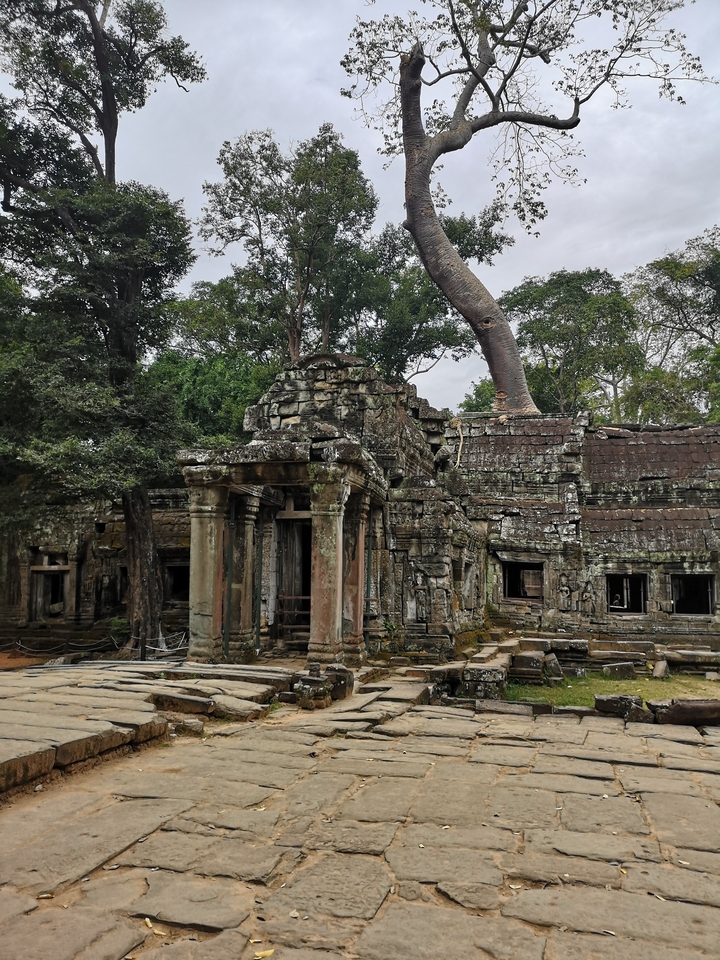 Ancient temple ruins surrounded by jungle.