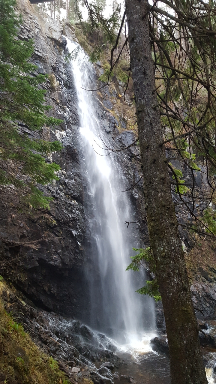 Waterfall cascading down a rock face in the forest.