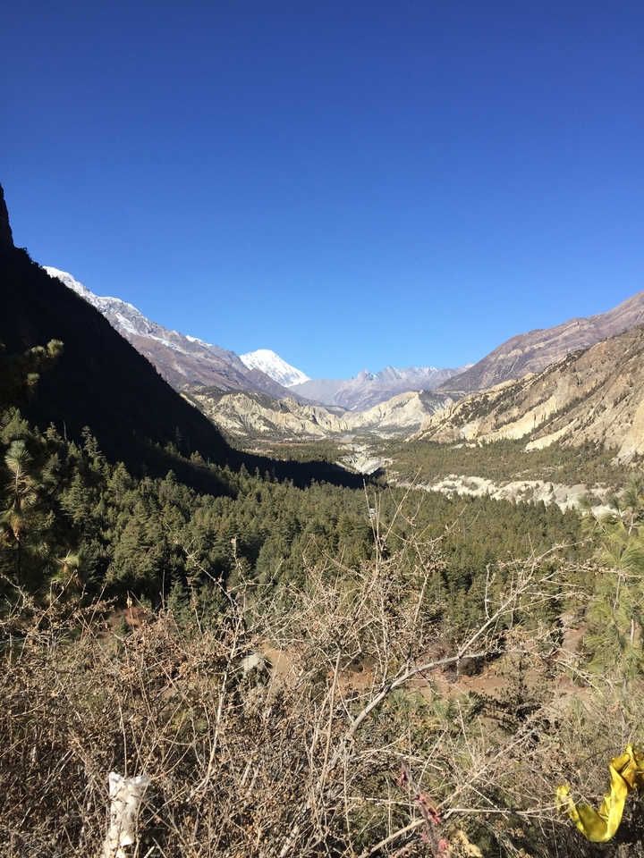 Vue sur la vallée avec des sommets enneigés au loin.