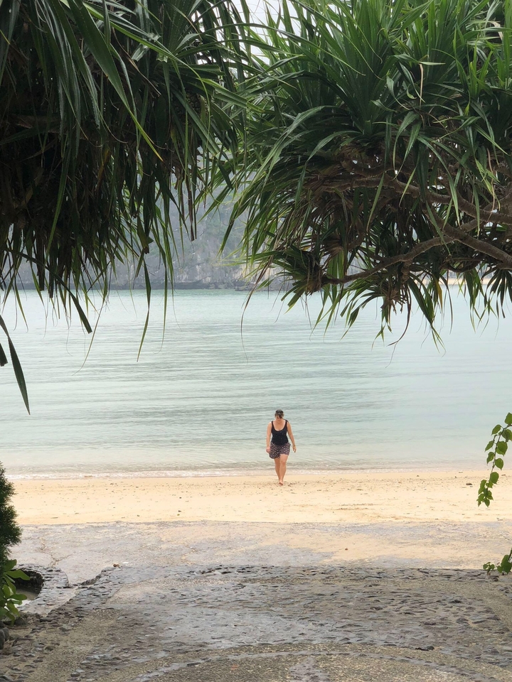 Person walking along a beach under tropical trees.