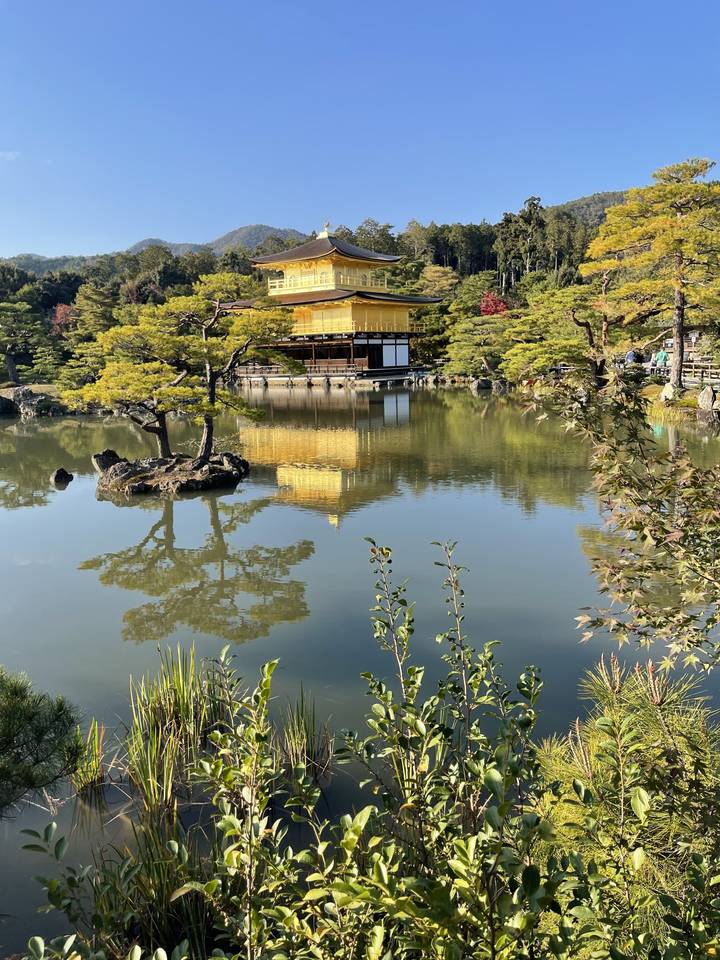 Golden pavilion reflected in a pond.