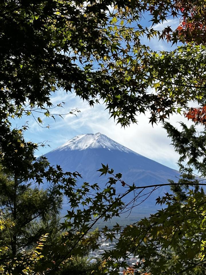 Mount Fuji surrounded by greenery with a clear blue sky.