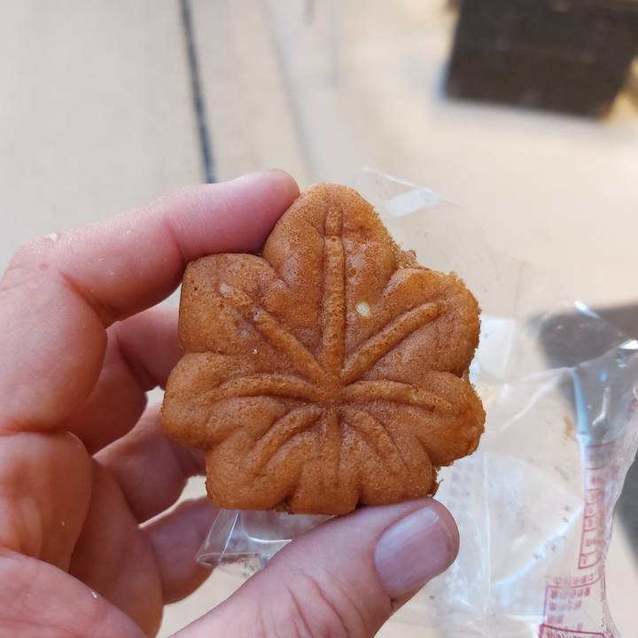 Person holding a leaf-shaped pastry.