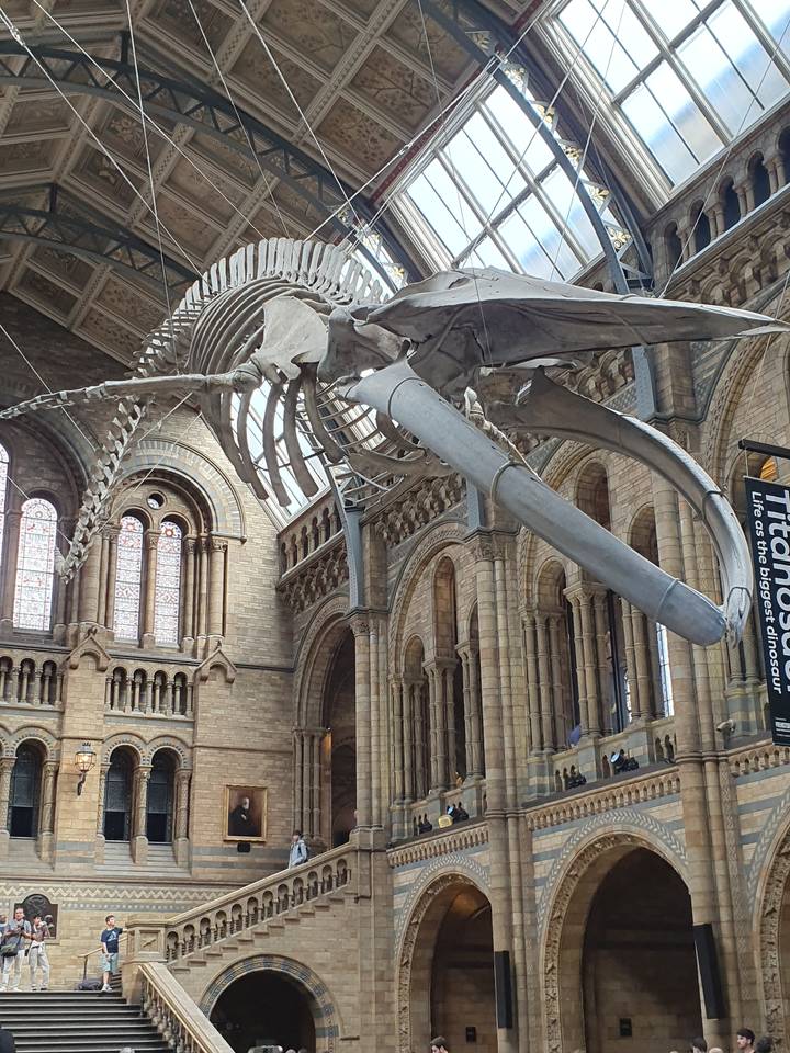 Interior of a historic building with a large skeletal structure.