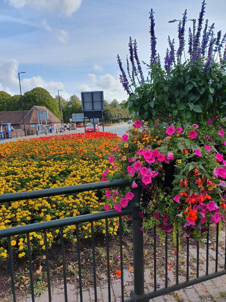 Colorful flower garden along a sidewalk with a road nearby.