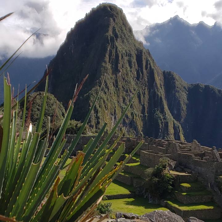 Grassy area with Machu Picchu and mountains in the background.