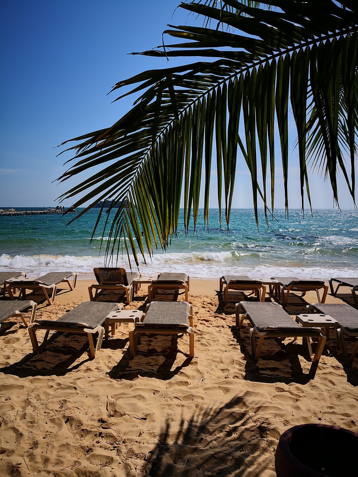 Beach view with loungers under palm leaves.