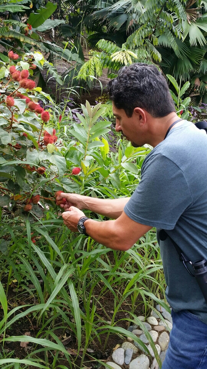 Sign displaying historic information in Spanish with an image of a church.