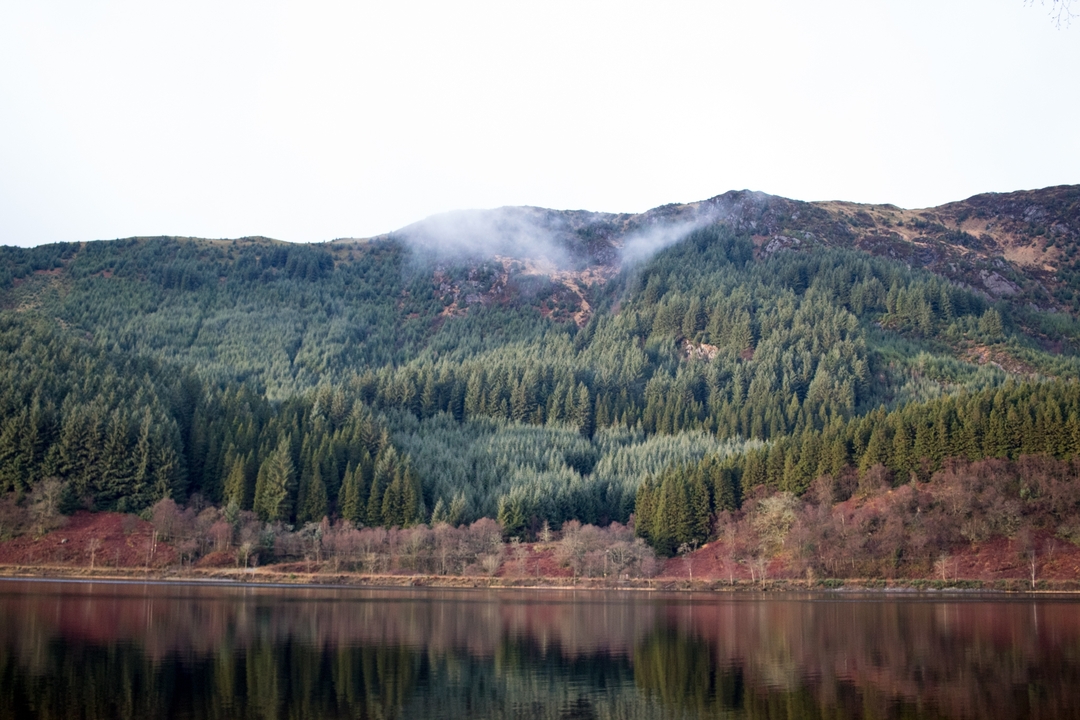 Collines boisées avec de la brume dans la cime des arbres.
