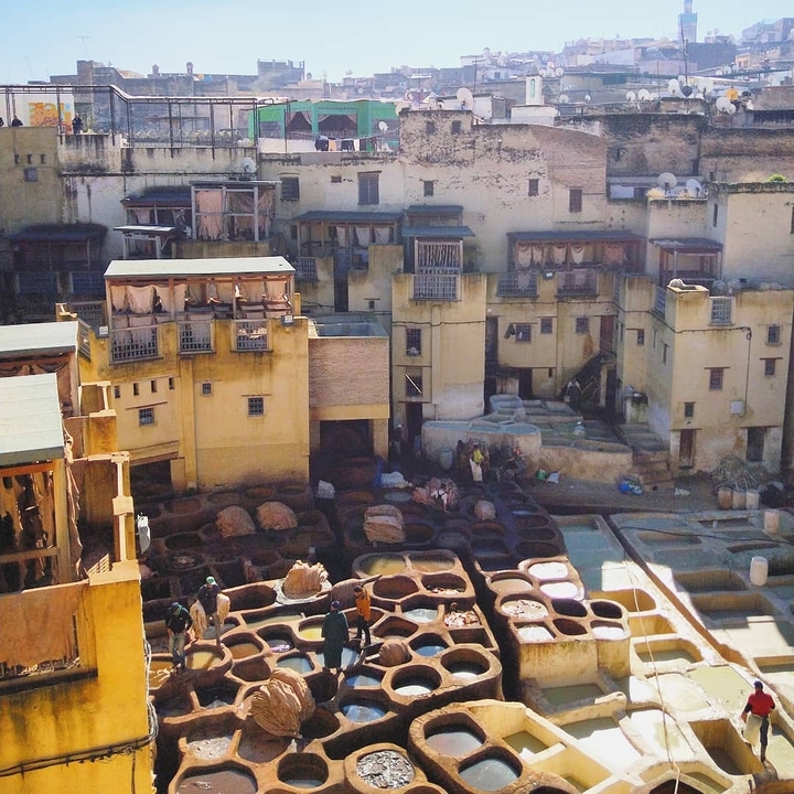 Overview of a tannery with drying hides and buildings.