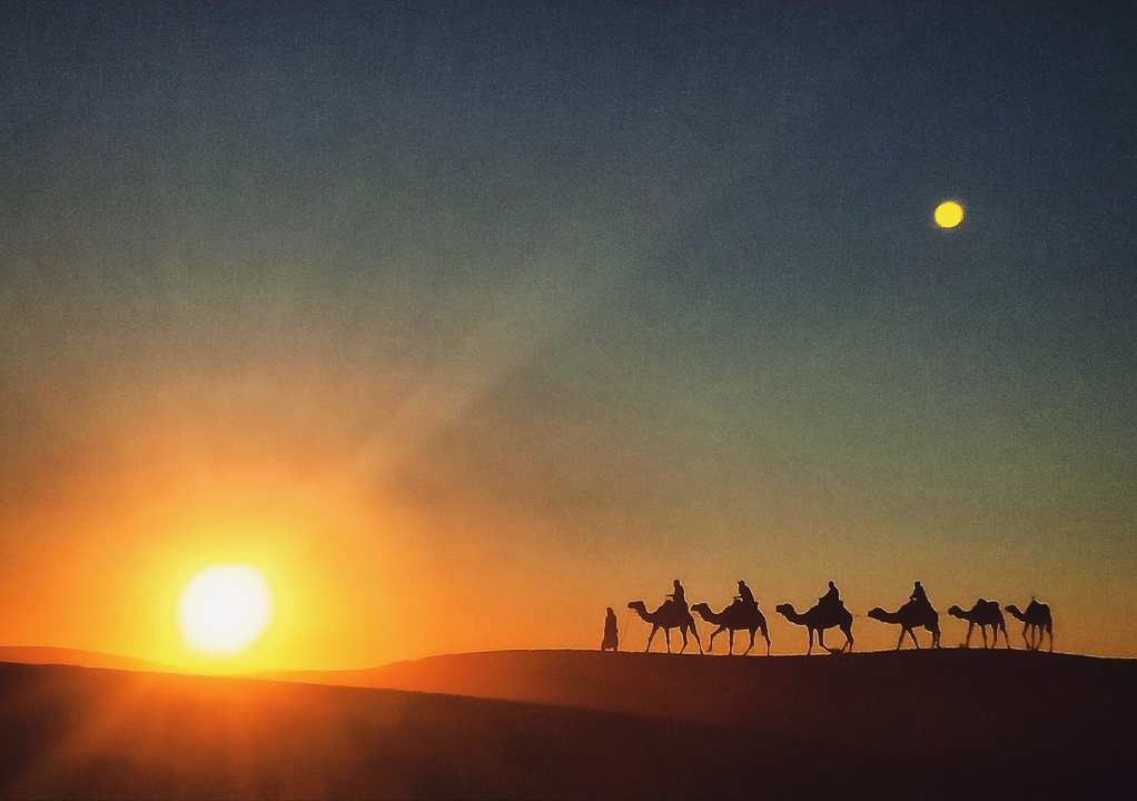 Silhouettes of a camel caravan against a sunset sky.