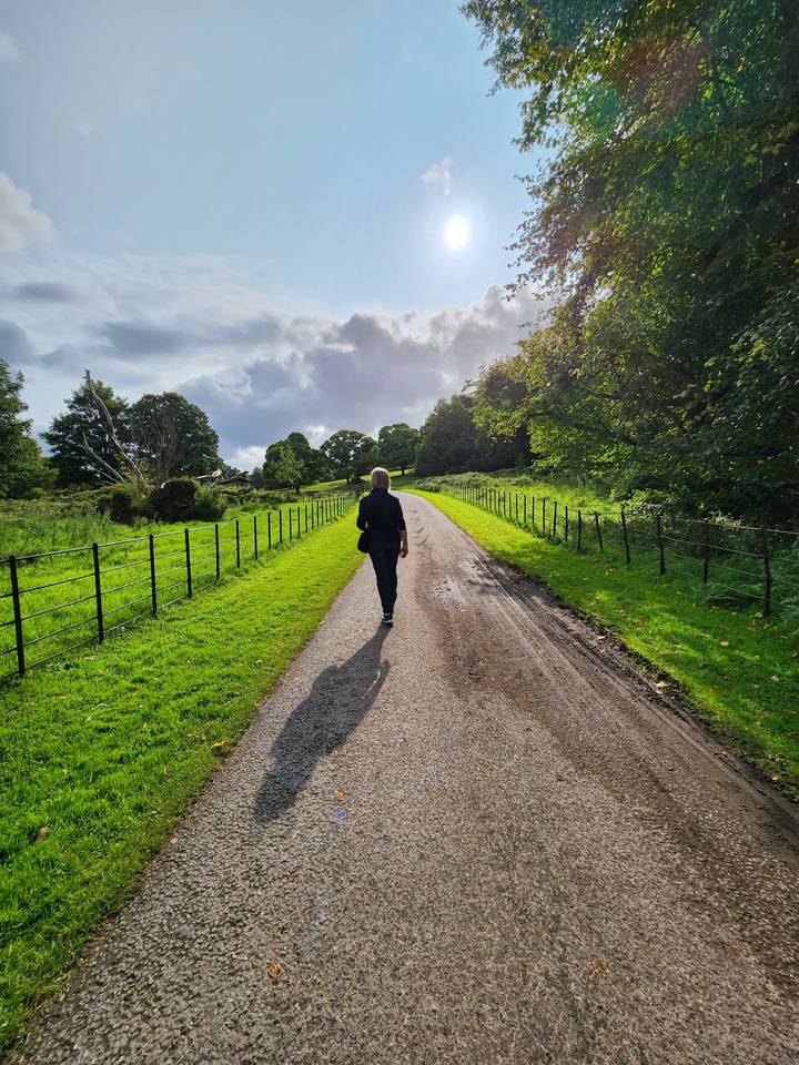 Person walking down a rural path with sunshine.