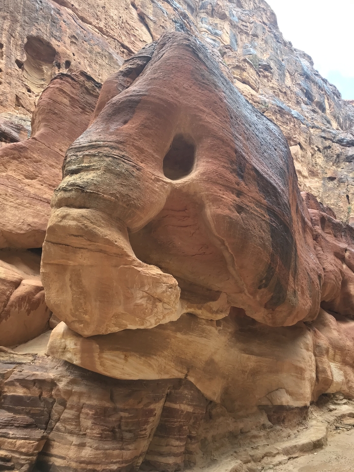 Rock formations with unique shapes and textures.