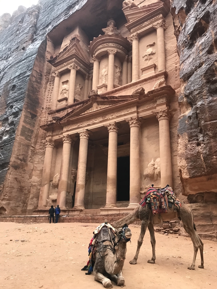 The iconic facade of Petra's Al-Khazneh with a camel in front.