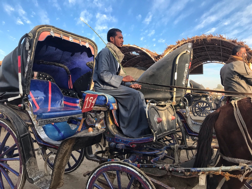 Person riding a decorated horse-drawn carriage.