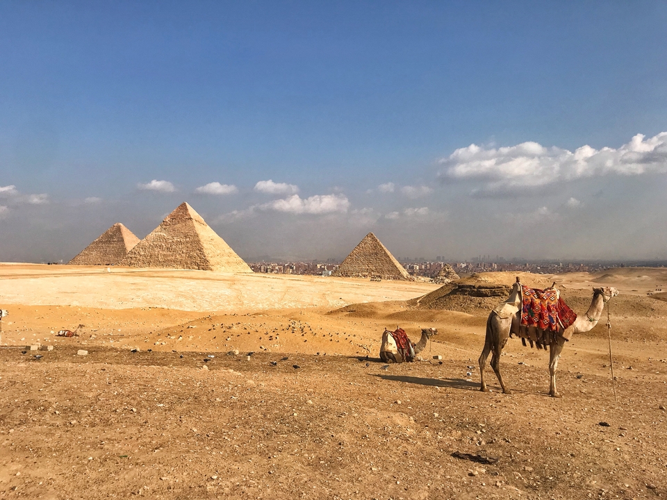 Desert scene with pyramids and camels.