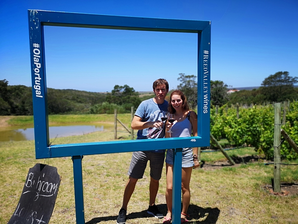 Couple posant avec un cadre dans un vignoble.