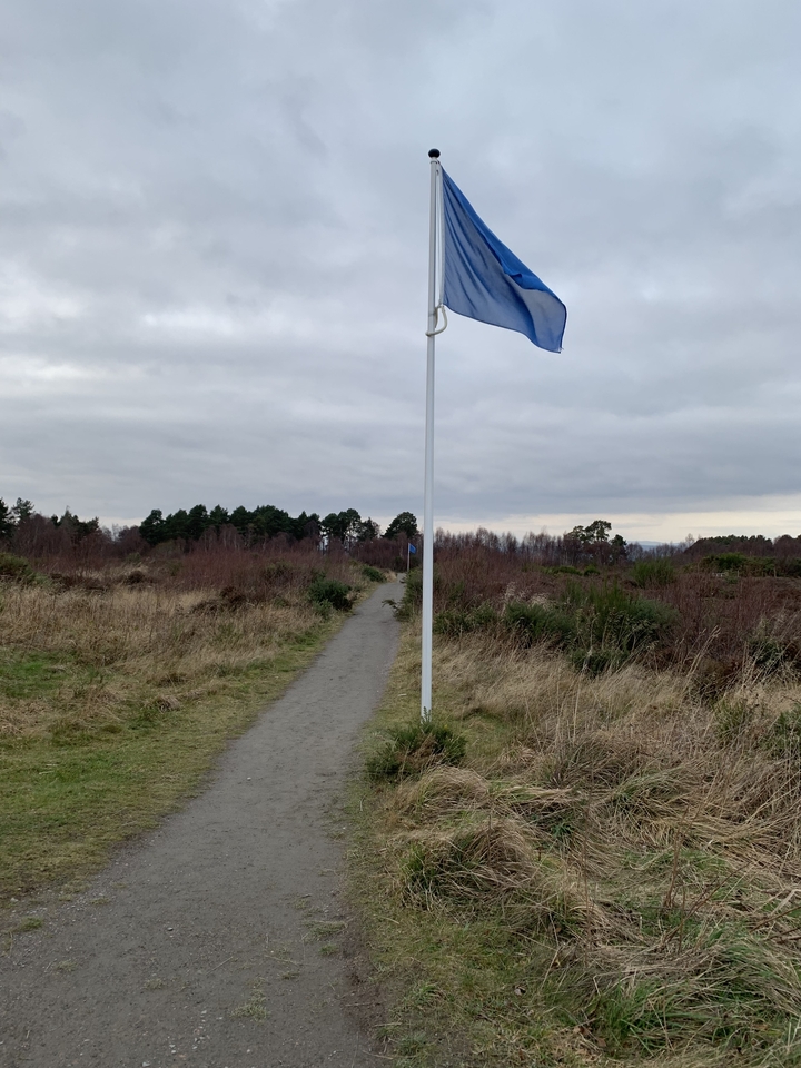 Pathway with a flag pole in a natural setting.
