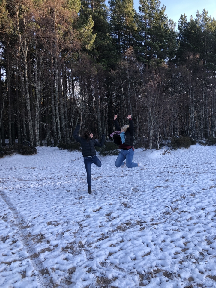 Two people jumping in a snowy forest.