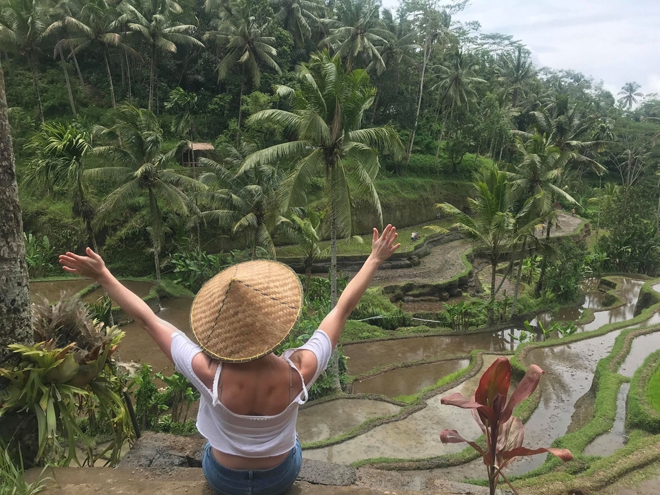 Person with arms raised in front of terraced rice fields.