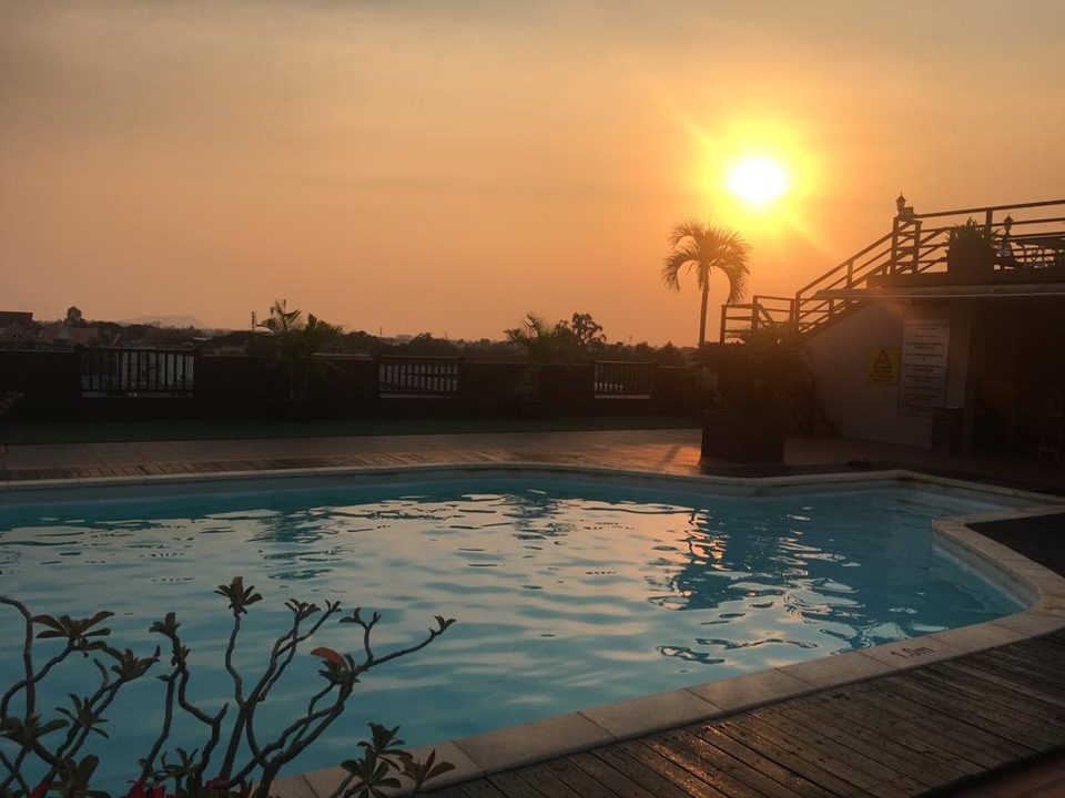 Piscine avec coucher de soleil et silhouette de palmier.