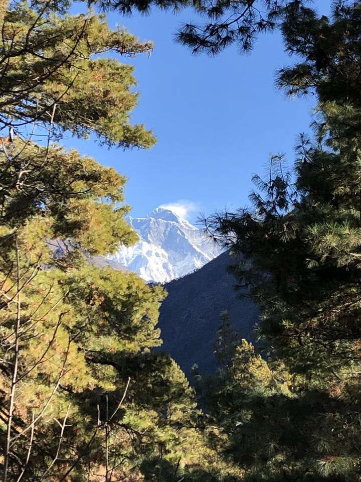 Mountain peak view through trees with blue sky.